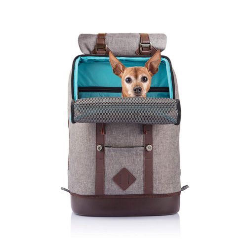 quel sac randonnee chien choisir